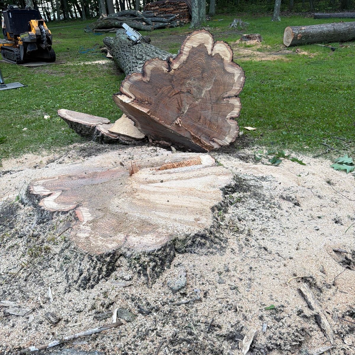 Arbor Pro&rsquo;s crew and equipment on a Central PA tree job