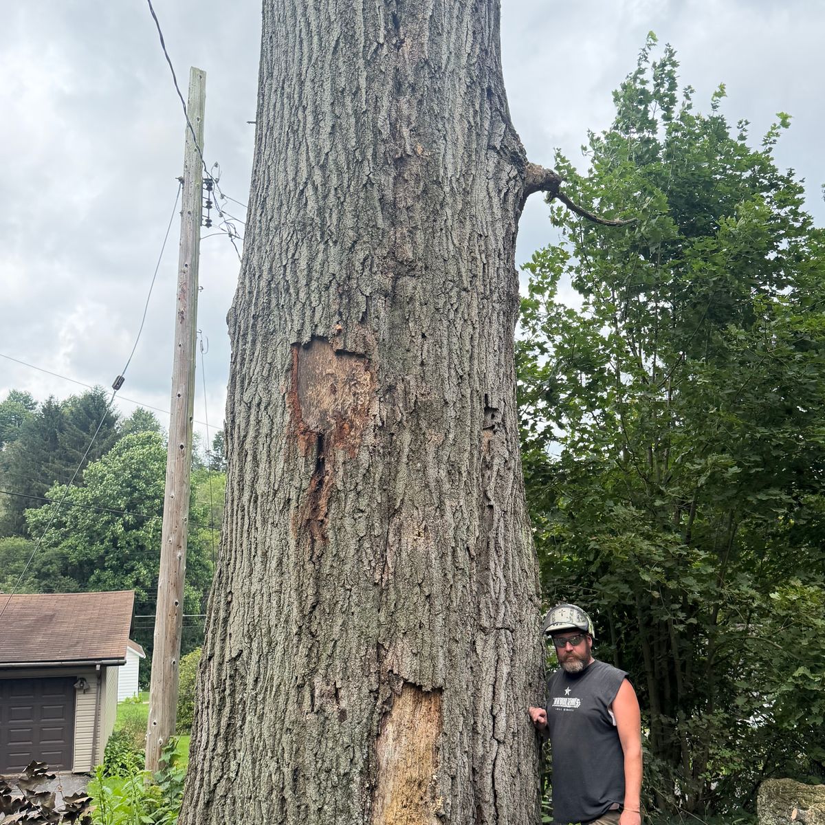 Arbor Pro&rsquo;s crew and equipment on a Central PA tree job