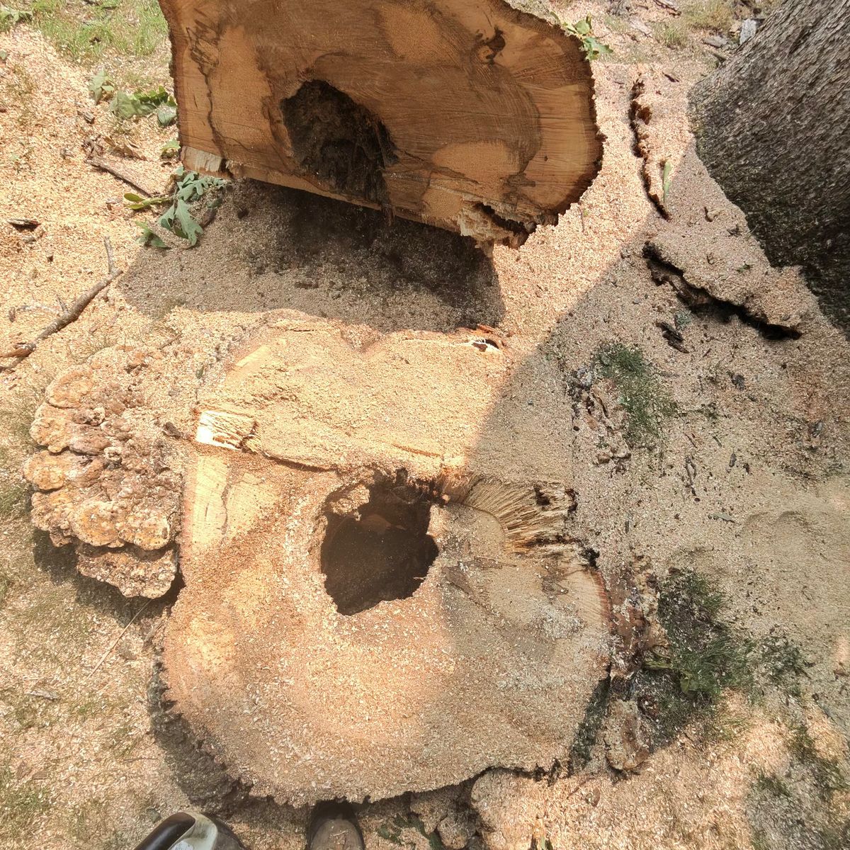 Arbor Pro&rsquo;s crew and equipment on a Central PA tree job
