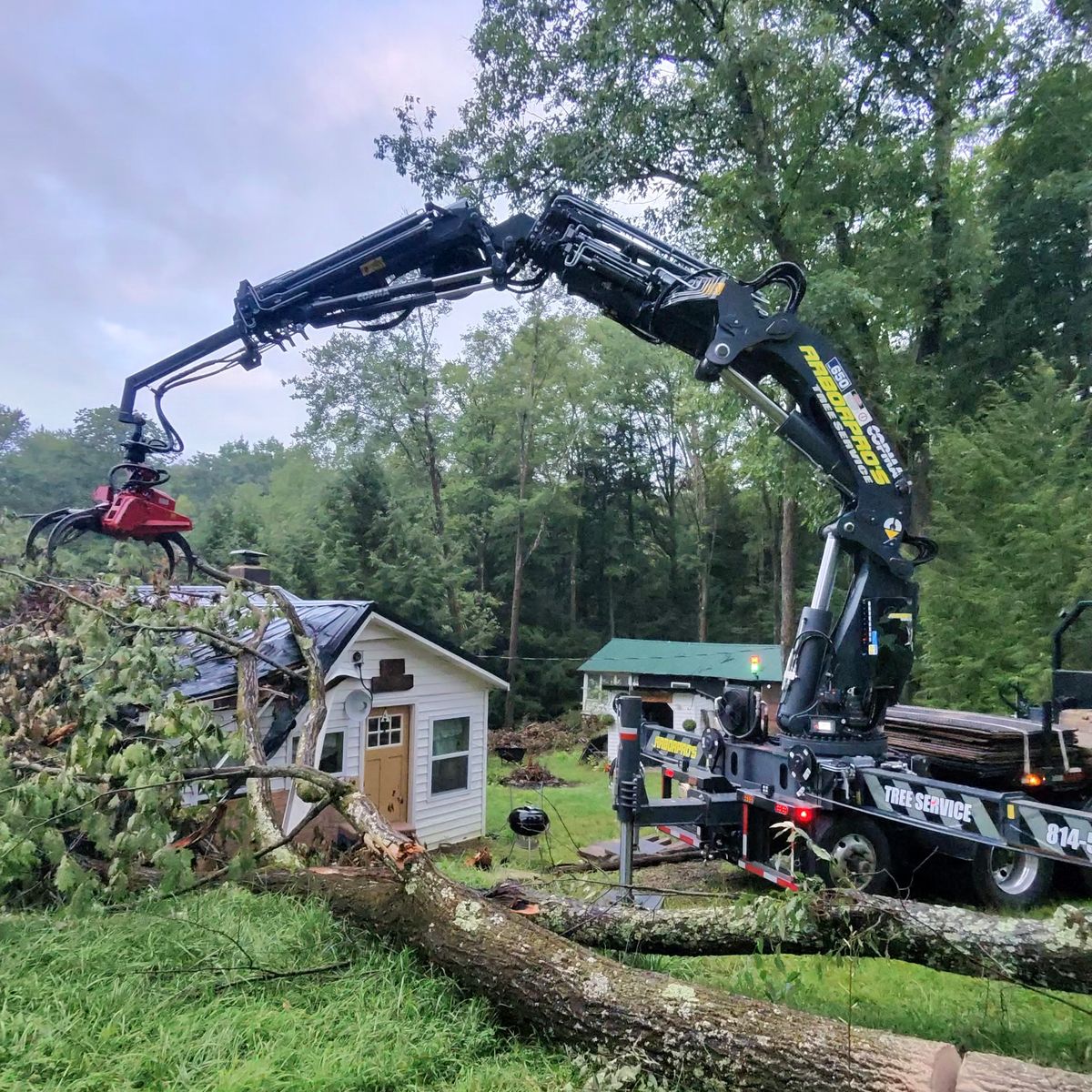 Arbor Pro&rsquo;s crew and equipment on a Central PA tree job