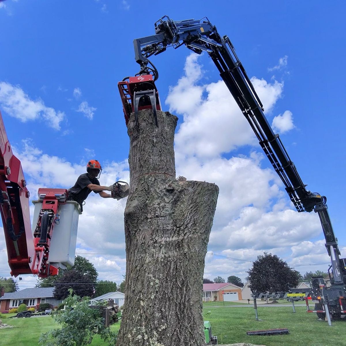 Arbor Pro&rsquo;s crew and equipment on a Central PA tree job