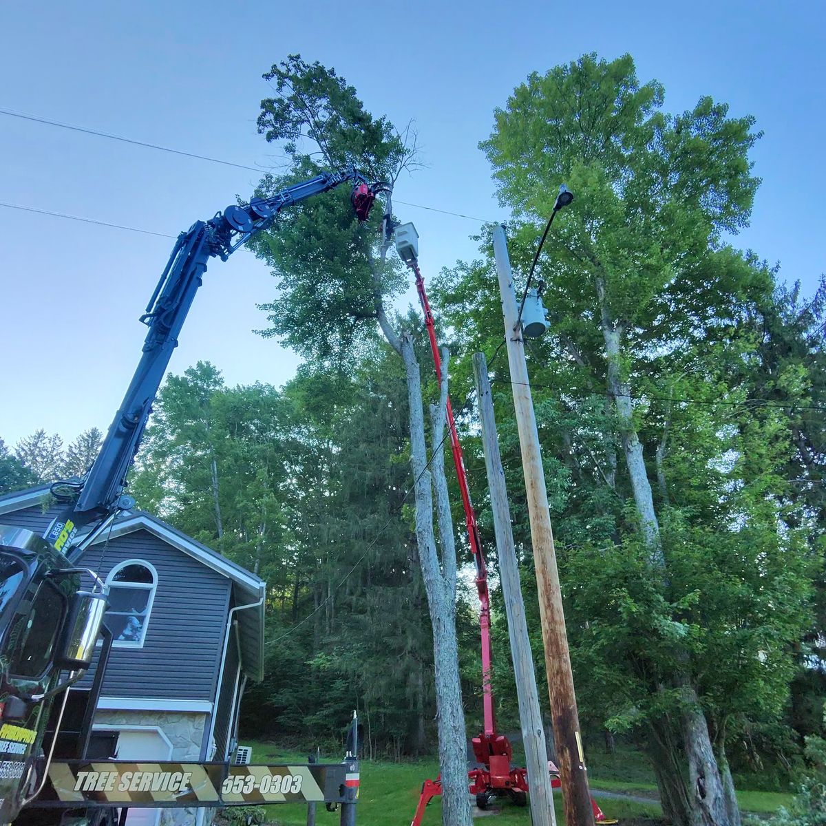 Arbor Pro&rsquo;s crew and equipment on a Central PA tree job
