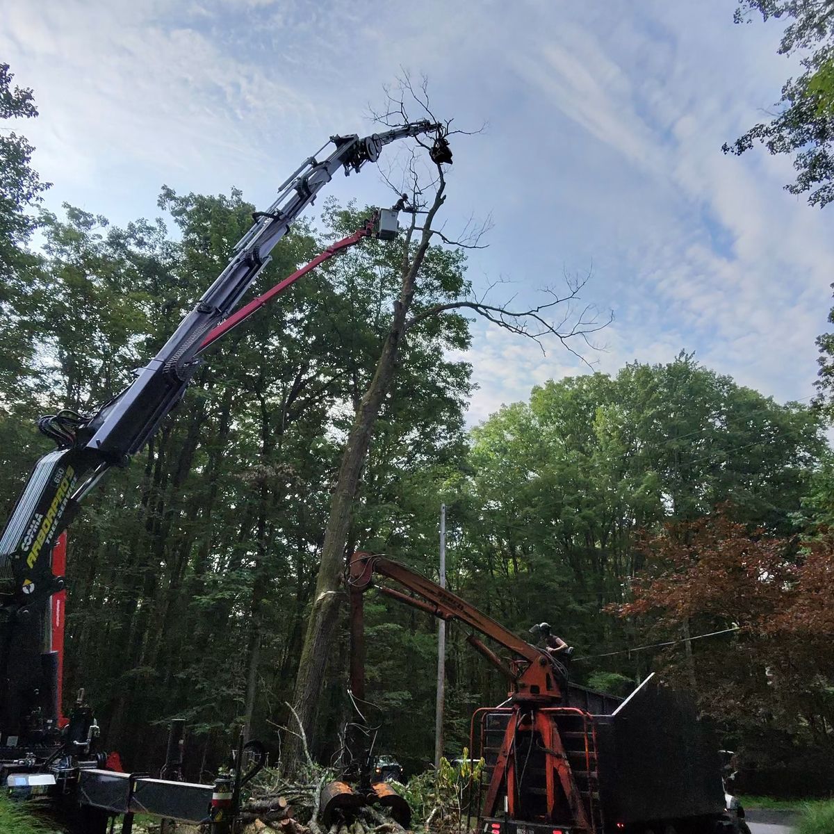 Arbor Pro&rsquo;s crew and equipment on a Central PA tree job