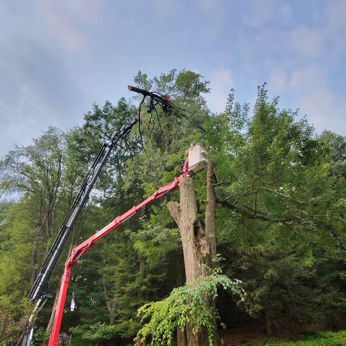 Arbor Pro&rsquo;s crew and equipment on a Central PA tree job