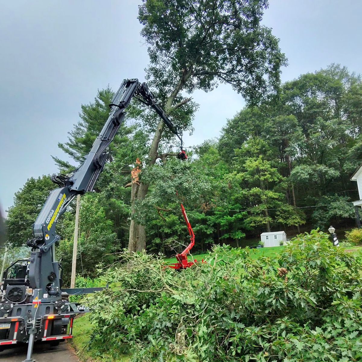 Arbor Pro&rsquo;s crew and equipment on a Central PA tree job