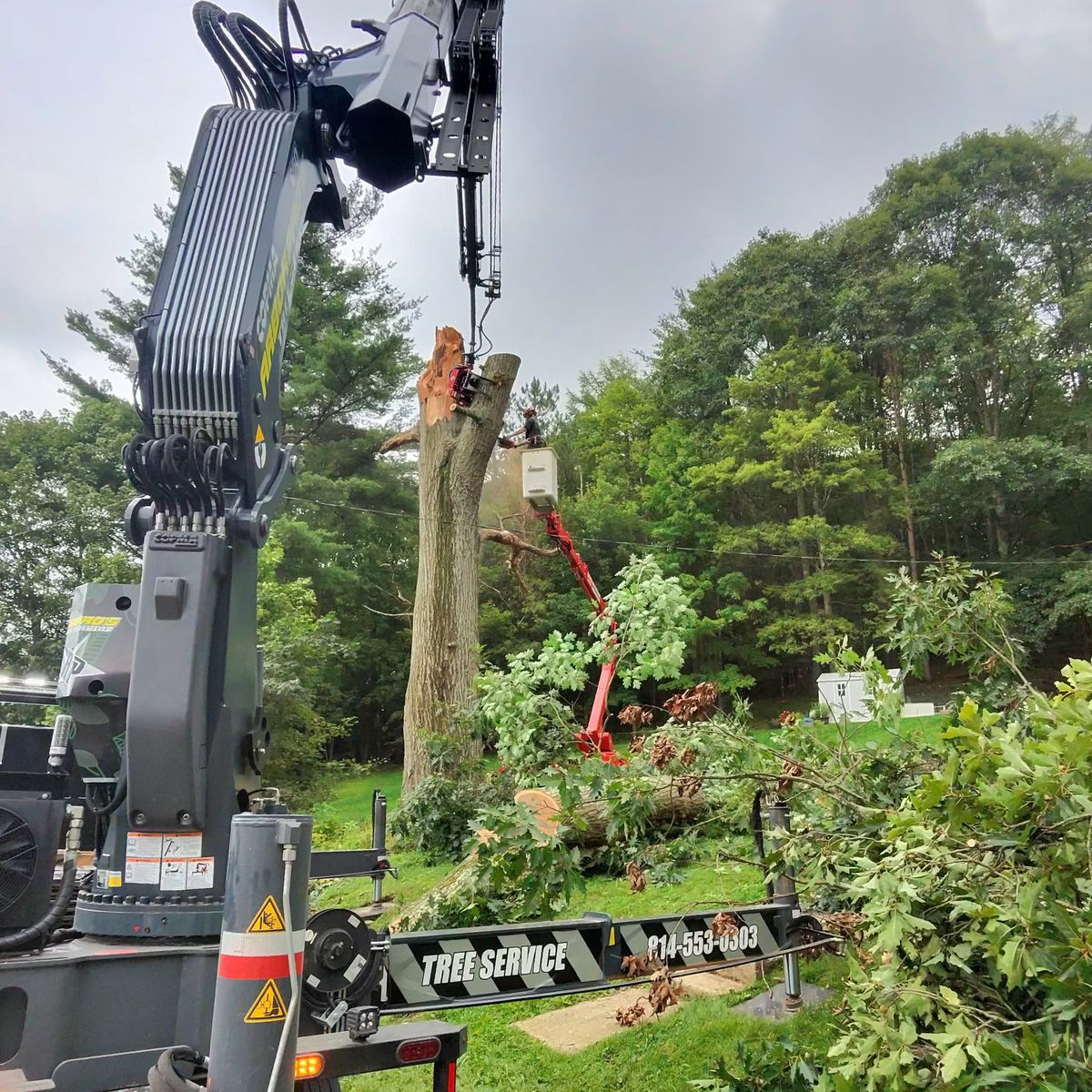 Arbor Pro’s crew and equipment on a Central PA tree job