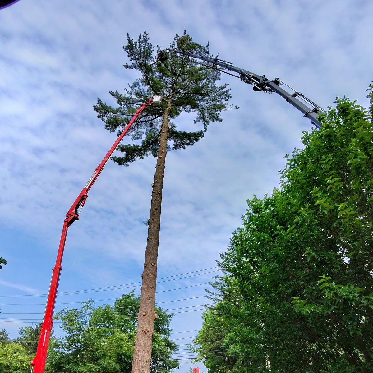 Arbor Pro&rsquo;s crew and equipment on a Central PA tree job