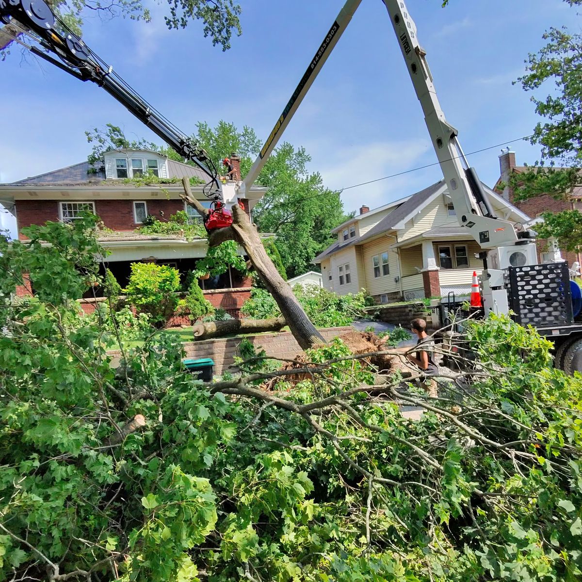 Arbor Pro&rsquo;s crew and equipment on a Central PA tree job