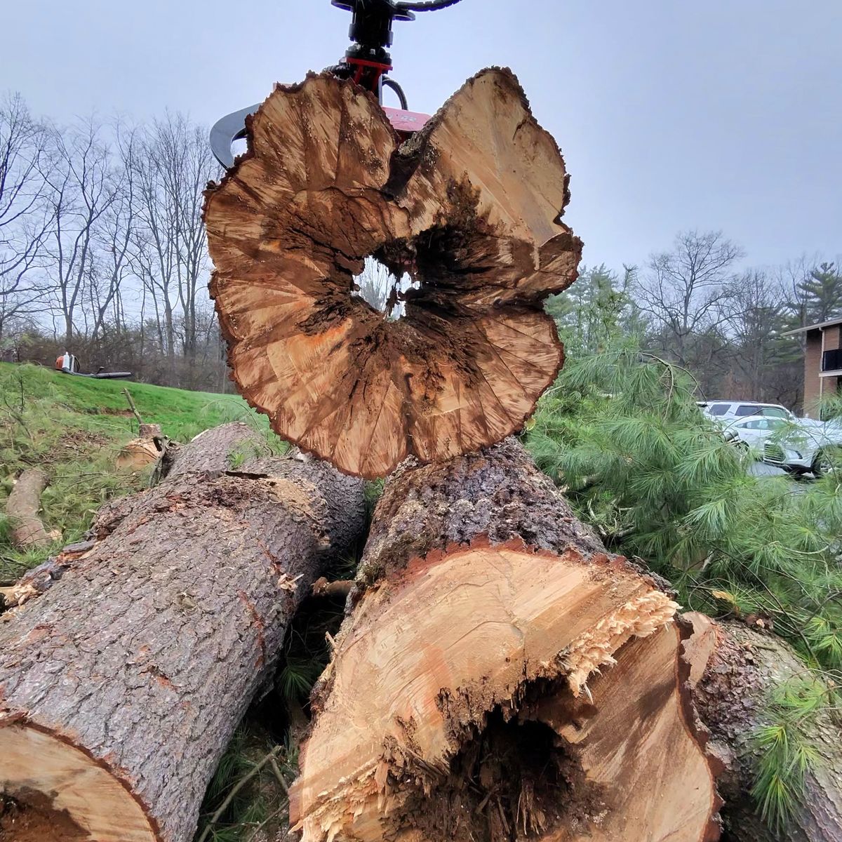 Arbor Pro&rsquo;s crew and equipment on a Central PA tree job