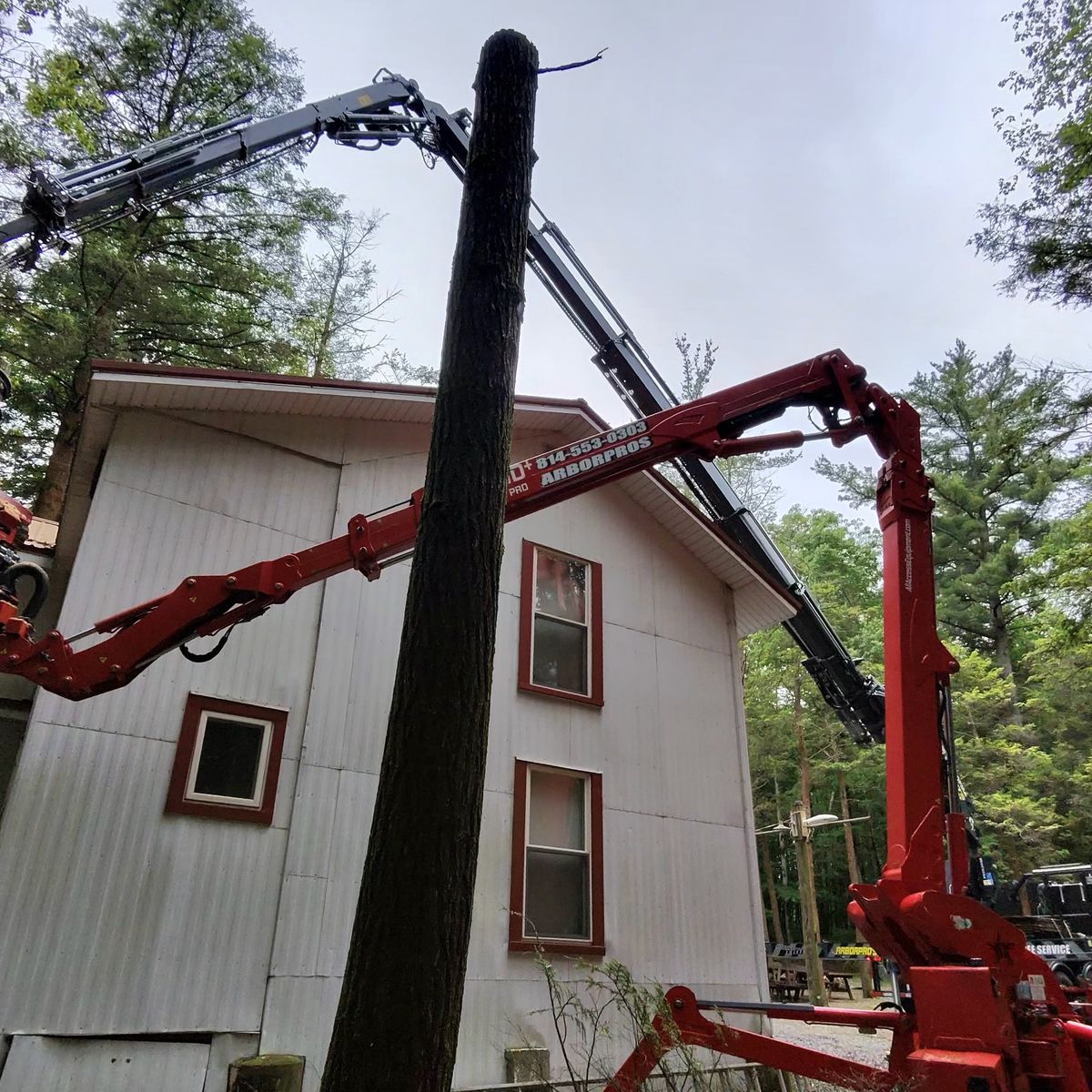 Arbor Pro&rsquo;s crew and equipment on a Central PA tree job