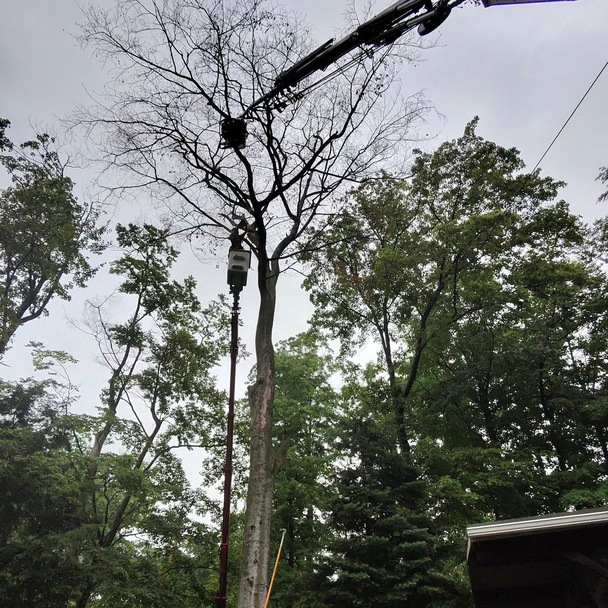 Arbor Pro&rsquo;s crew and equipment on a Central PA tree job
