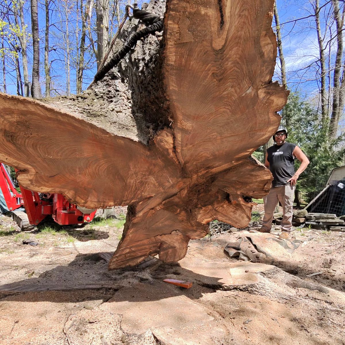 Arbor Pro&rsquo;s crew and equipment on a Central PA tree job
