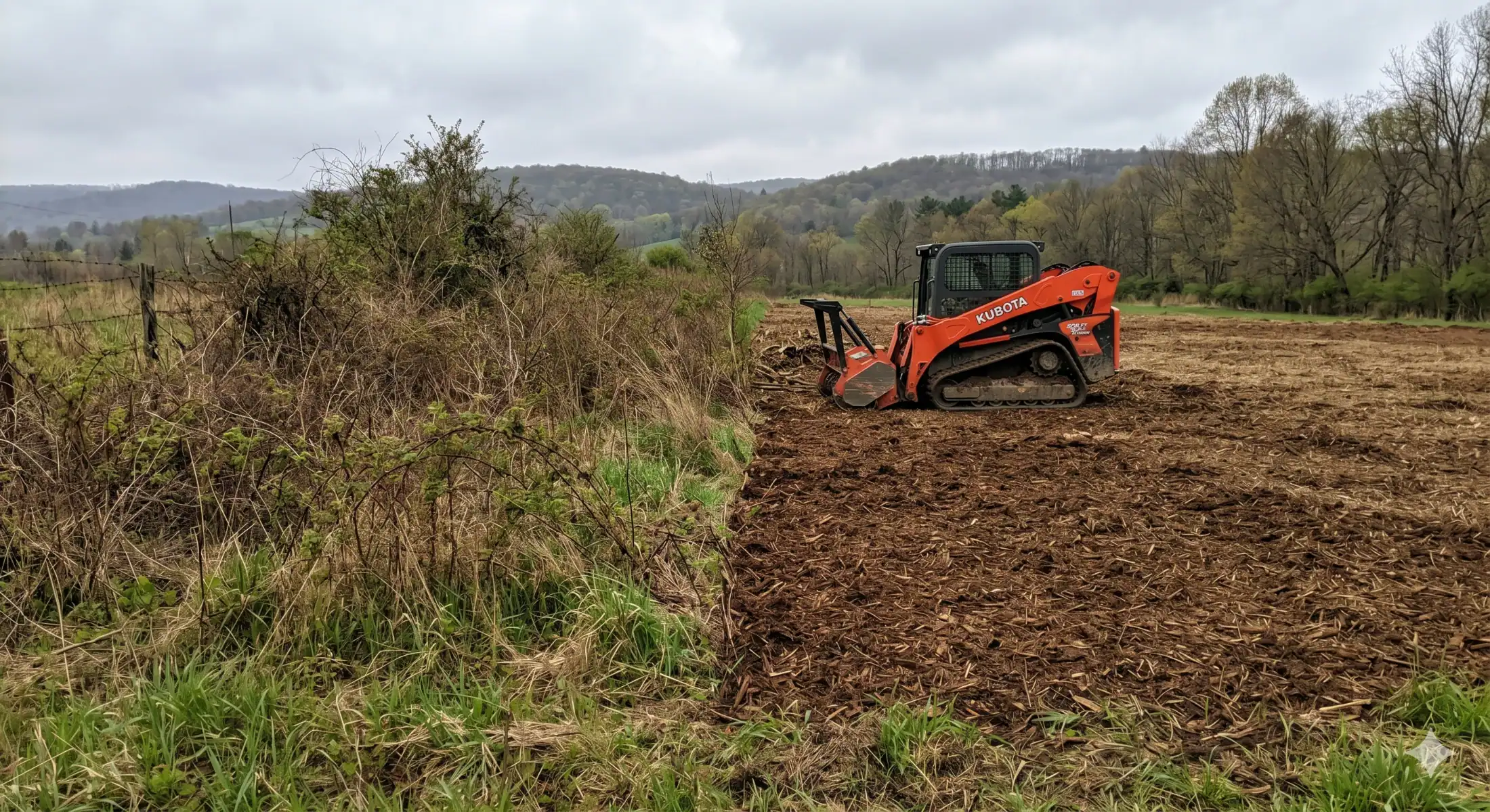 Kubota compact track loader with Fecon mulching head — cleared land on the right, overgrown brush on the left, Central Pennsylvania