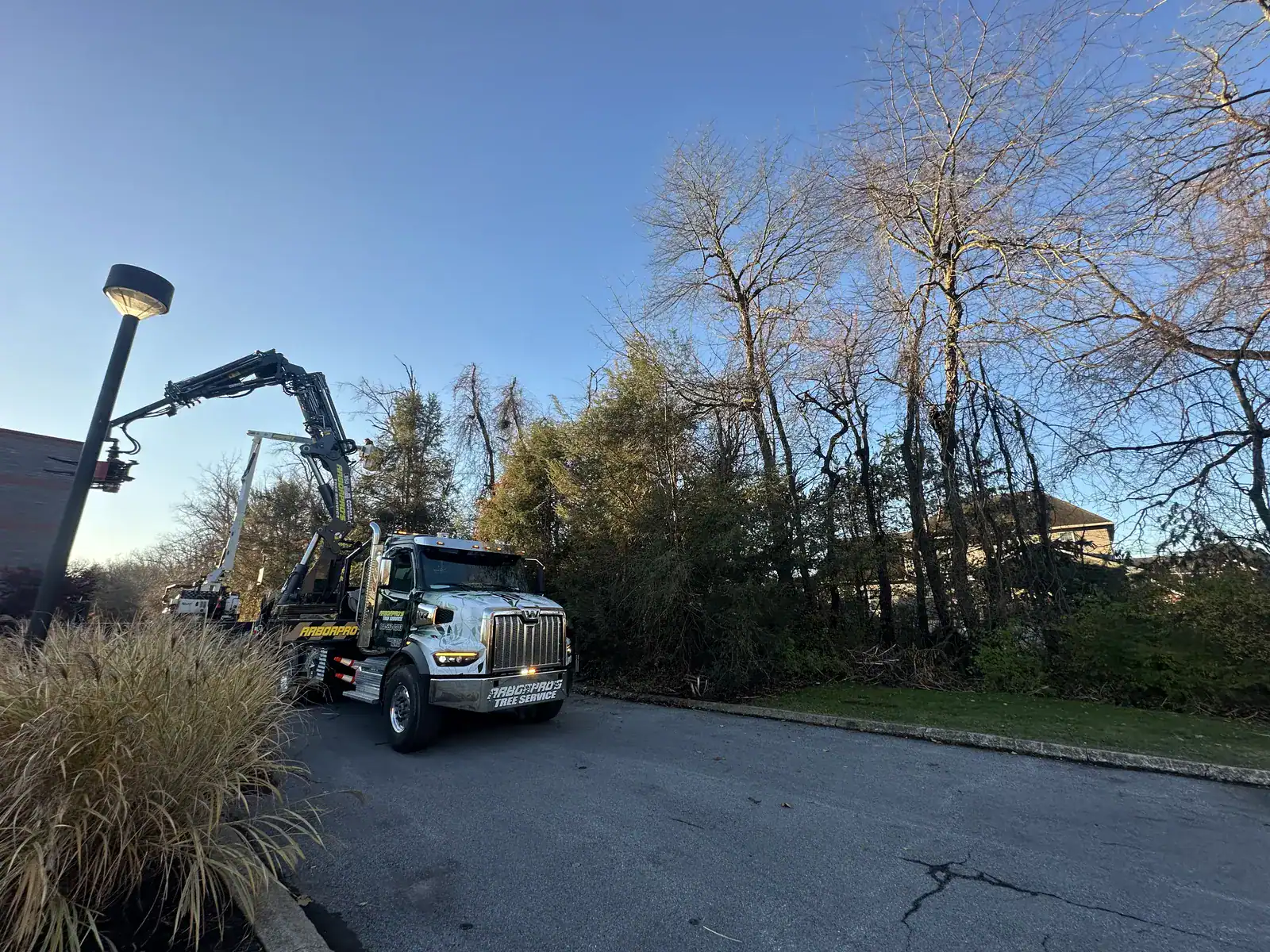 Arbor Pro's Tree Service crane truck with knuckle boom on a tree removal job in Central PA