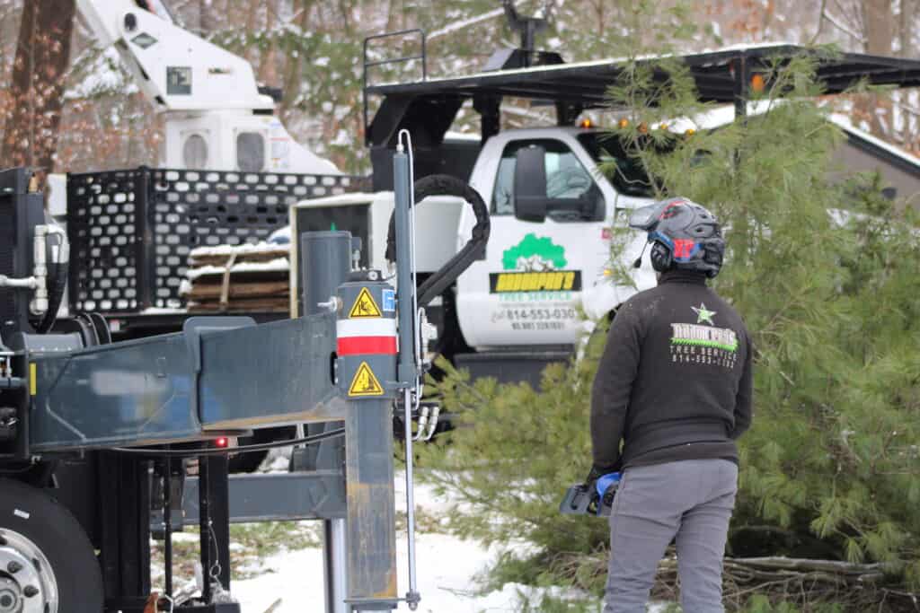 Tree work in progress with Arbor Pro's crane equipment